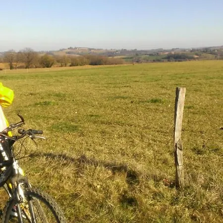 캠프장 Sur Pilotis Avec Terrasse - 5 Personnes - Api-1-52-505 Moncrabeau