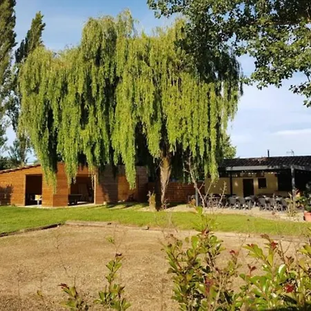 Sur Pilotis Avec Terrasse - 5 Personnes - Api-1-52-505 Camping Moncrabeau