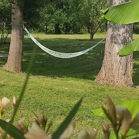 Sur Pilotis Avec Terrasse - 5 Personnes - Api-1-52-505 * Moncrabeau