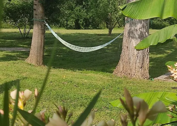 Sur Pilotis Avec Terrasse - 5 Personnes - Api-1-52-505 * Moncrabeau