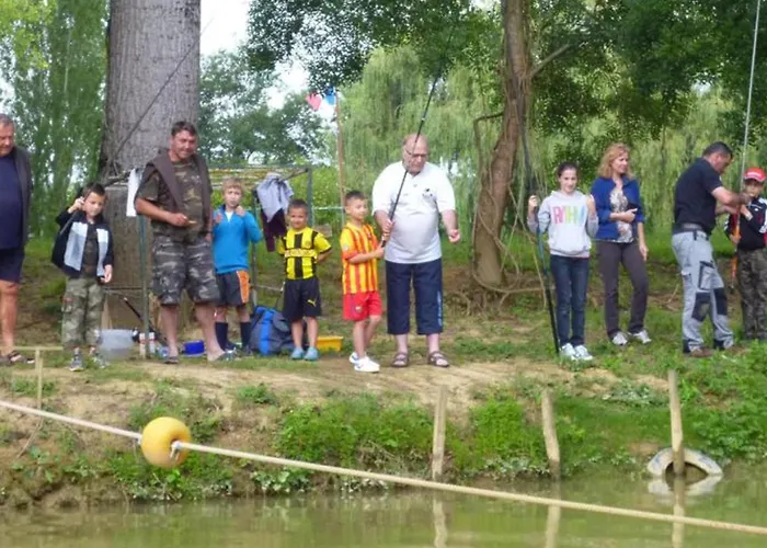 Camping Sur Pilotis Avec Terrasse - 5 Personnes - Api-1-52-505 Moncrabeau