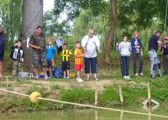 Camping Sur Pilotis Avec Terrasse - 5 Personnes - Api-1-52-505